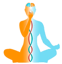 Pranayama cycle abc essor sante