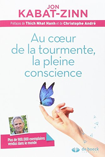 aucoeurdelatourmente la pleineconscience