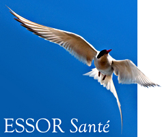 logo_essor-sante.png