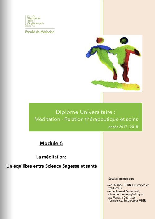 Diplôme Universitaire 2017-2018, module 6, la méditation... par Mahalia Dalmasso